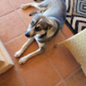 Meet your Posher, Angelo